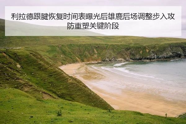 利拉德跟腱恢复时间表曝光后雄鹿后场调整步入攻防重塑关键阶段